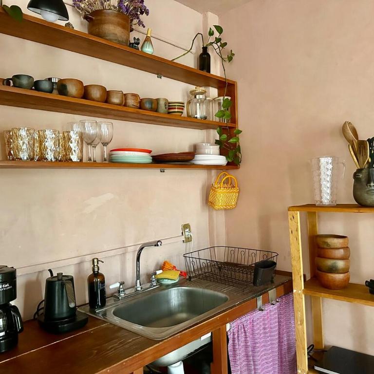 Sunny Home in Oaxaca City Center - Appartement 2 Chambres - 17