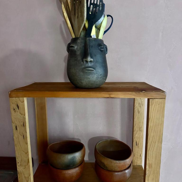 Sunny Home in Oaxaca City Center - Appartement 2 Chambres - 37