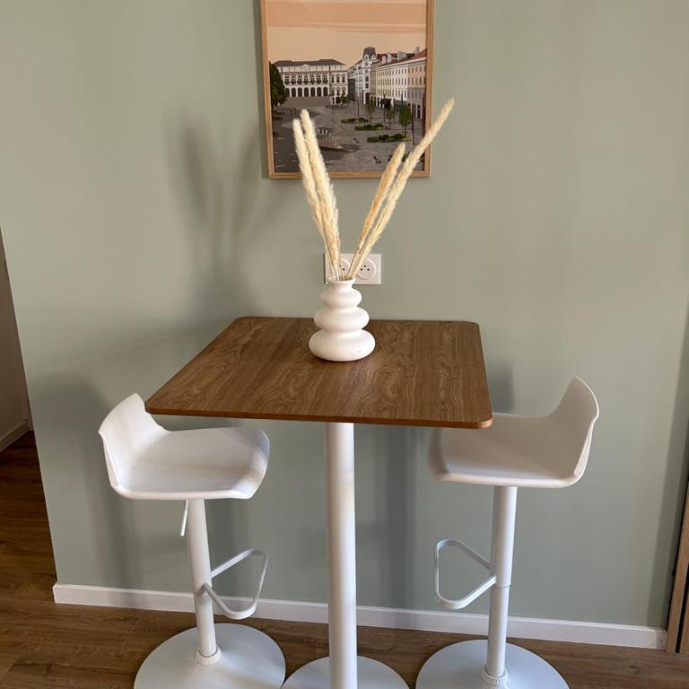 Studio cosy Saint Etienne gare - Appartement 1 Chambre - 5