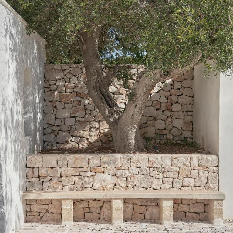 House Trulli Antonelli - Maison 3 Chambres - 46