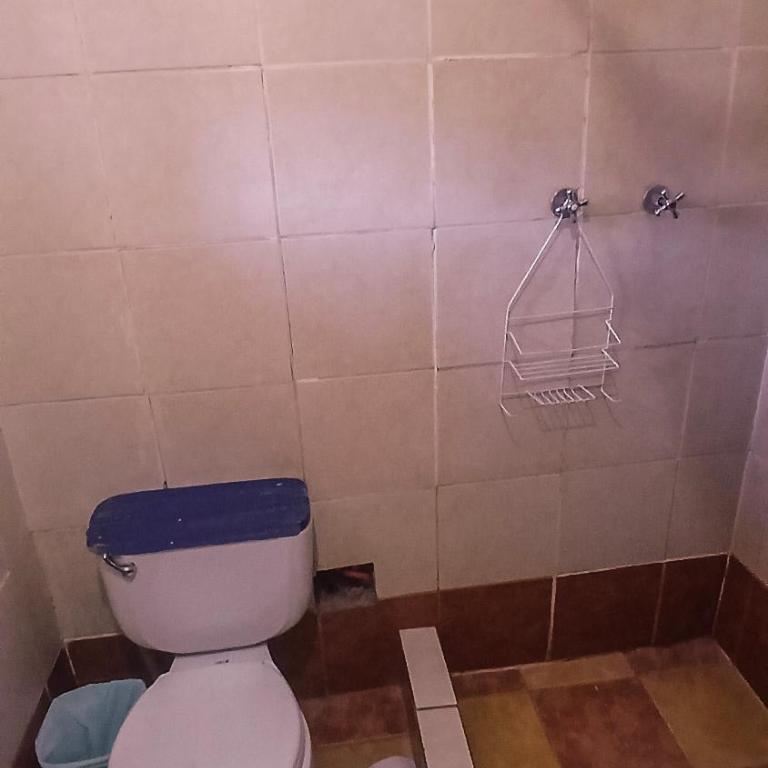 Loki Cusco - Cama individual en habitación compartida femenina con baño privado - 1