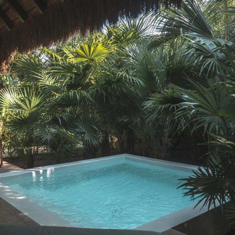 Chablé Maroma - Villa con piscina en un árbol - 6