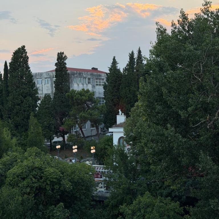Lux Apartment Podgorica - Appartement 1 Chambre - 13