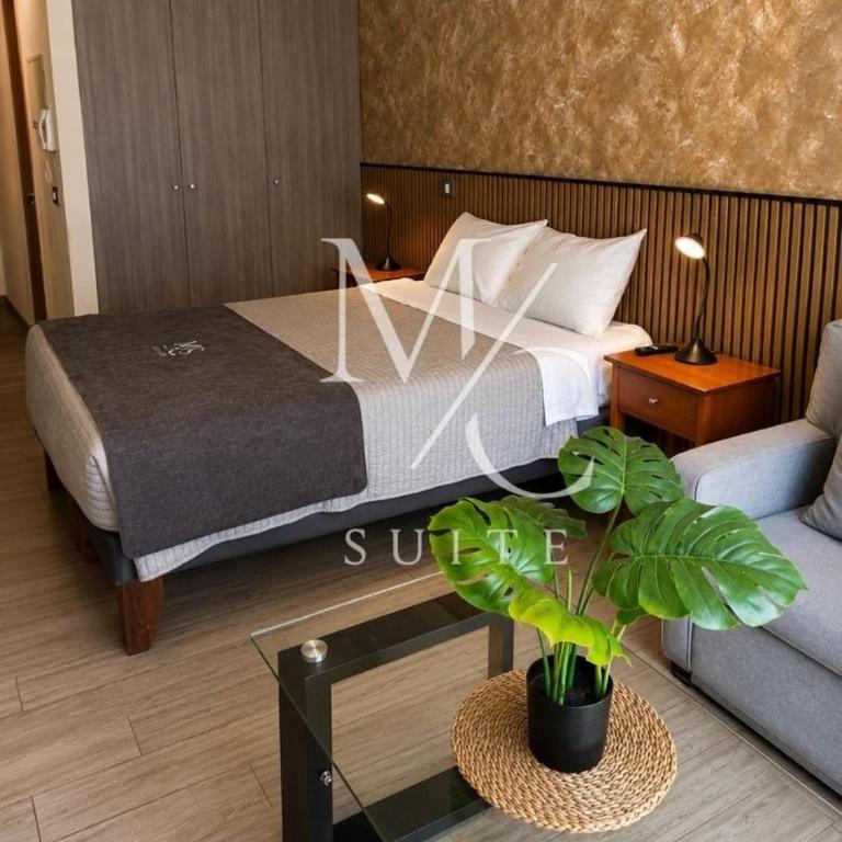 Deptos Estudios y de 2 dormitorios, Central, San Martin 2426. Sector Mall Plaza, Cowork y Factura. - Estudio con sofá cama - 12