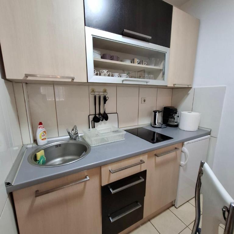Frida cozy central stay with garden view 2 - Appartement 1 Chambre - 11