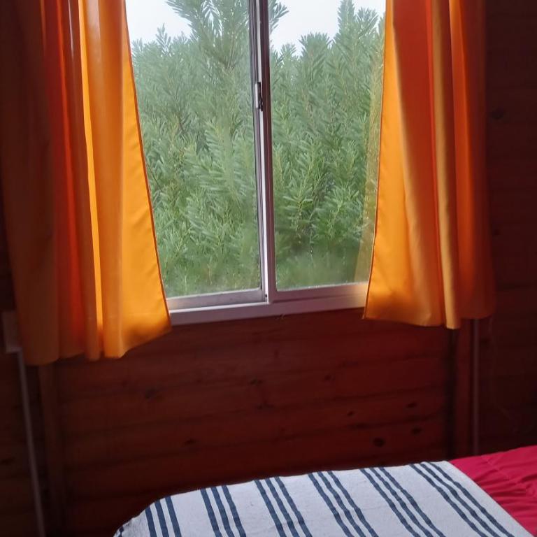 Puerto Ballena - Two-Bedroom Apartment - 8