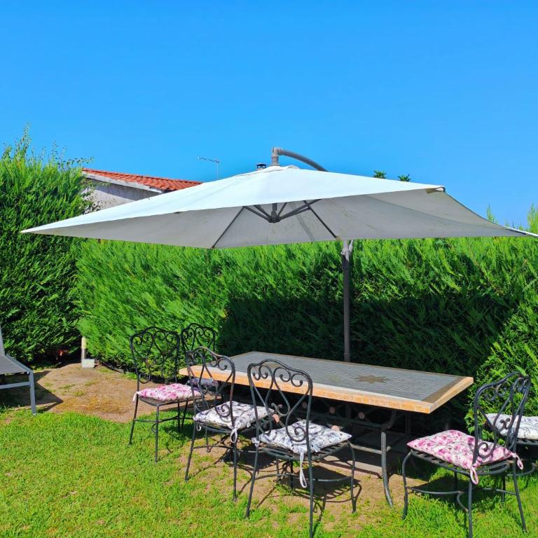 Loft Pietrasanta con piscina privata - Haus mit 1 Schlafzimmer - 2