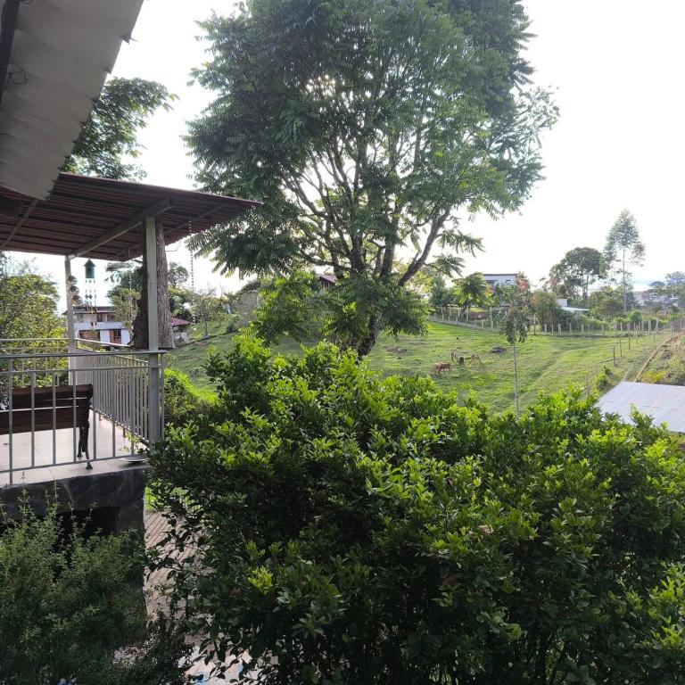 Luz Nelly Velez - Apartamento de 1 dormitorio - 19