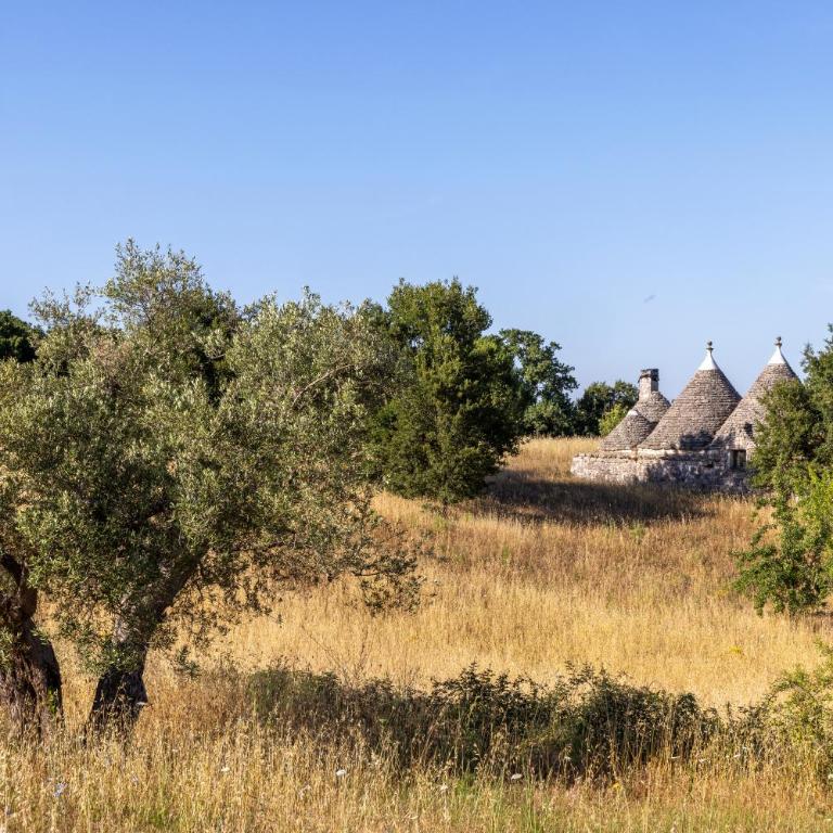 Trullo Guardiano - Casa con 2 Camere da Letto - 6