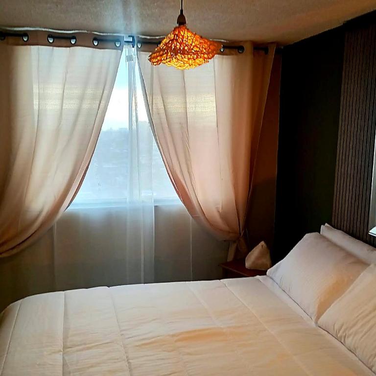 Refugio Urbano Mirador - Apartamento de 2 dormitorios - 3