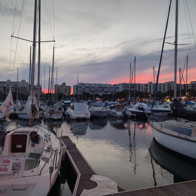 Le Flamant Rose - Climatisé et à 200 m de la plage - Studio - 16