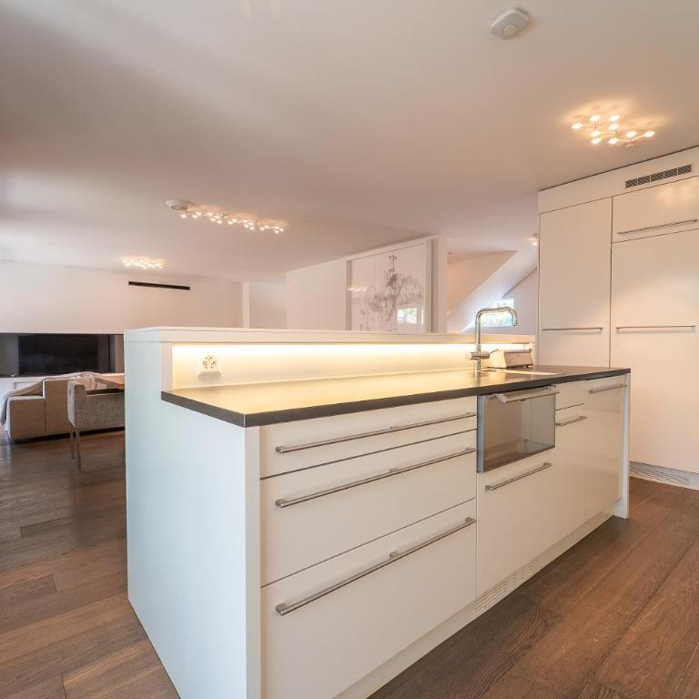 L'Hôtel privé in Geneva - Villa - 68