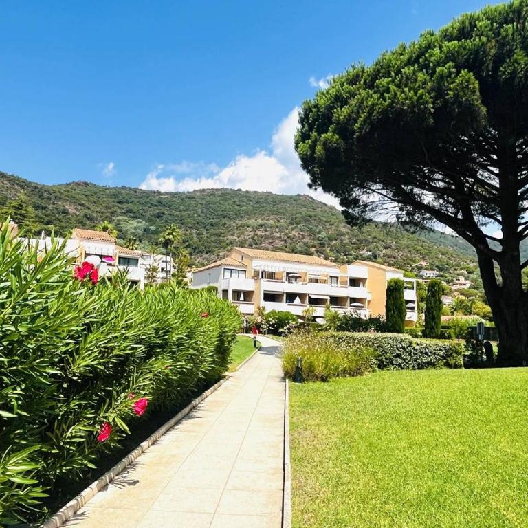 Studio, accès plage direct - 4 pers. - FR-1-251-957 - Appartement - 23