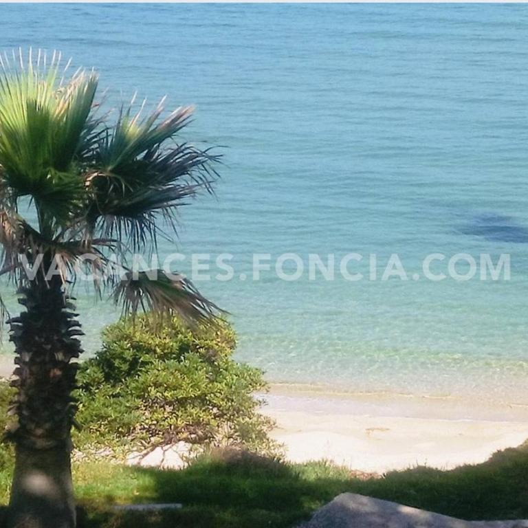 Studio, accès plage direct - 4 pers. - FR-1-251-957 - Appartement - 26
