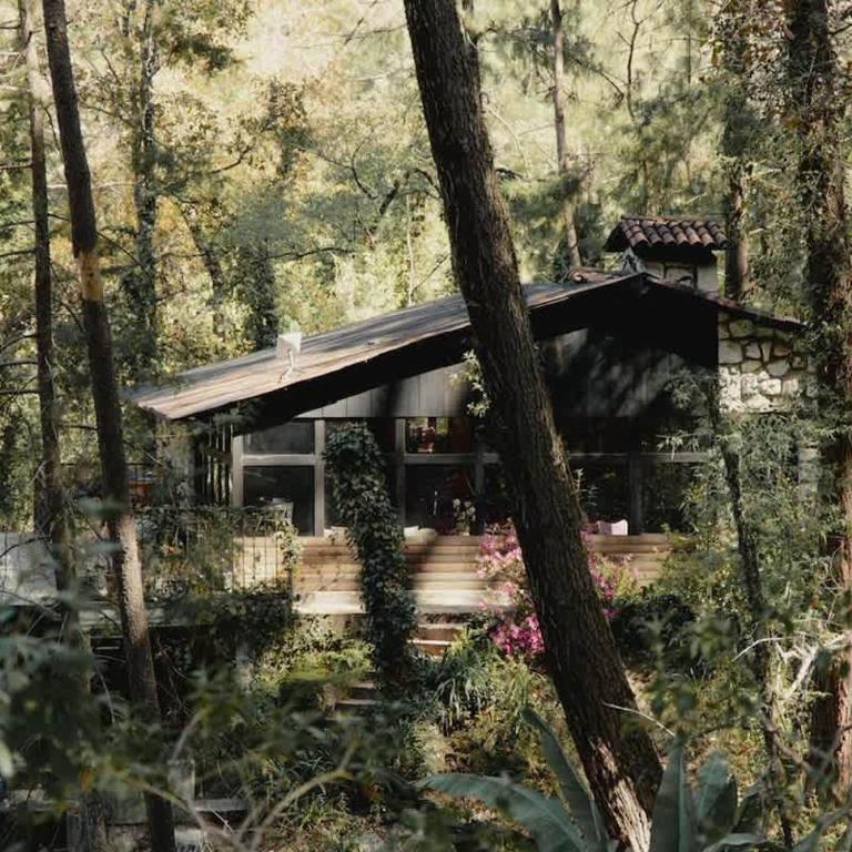 El verdadero lujo es la naturaleza - Chalet - 1