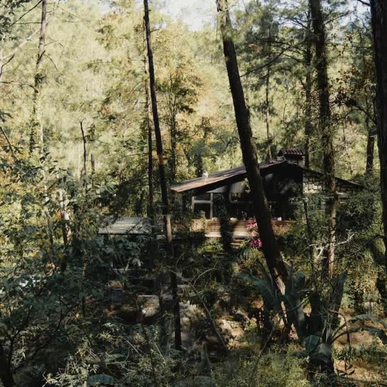 El verdadero lujo es la naturaleza - Chalet - 5
