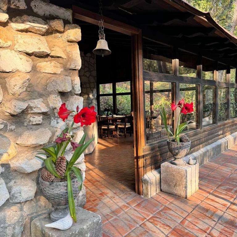 El verdadero lujo es la naturaleza - Chalet - 18