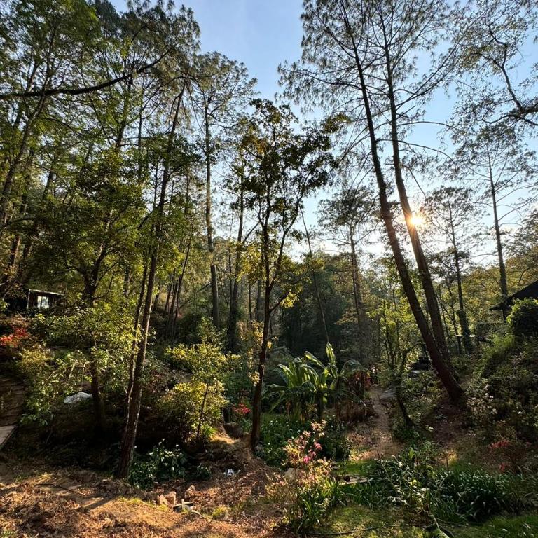 El verdadero lujo es la naturaleza - Chalet - 21