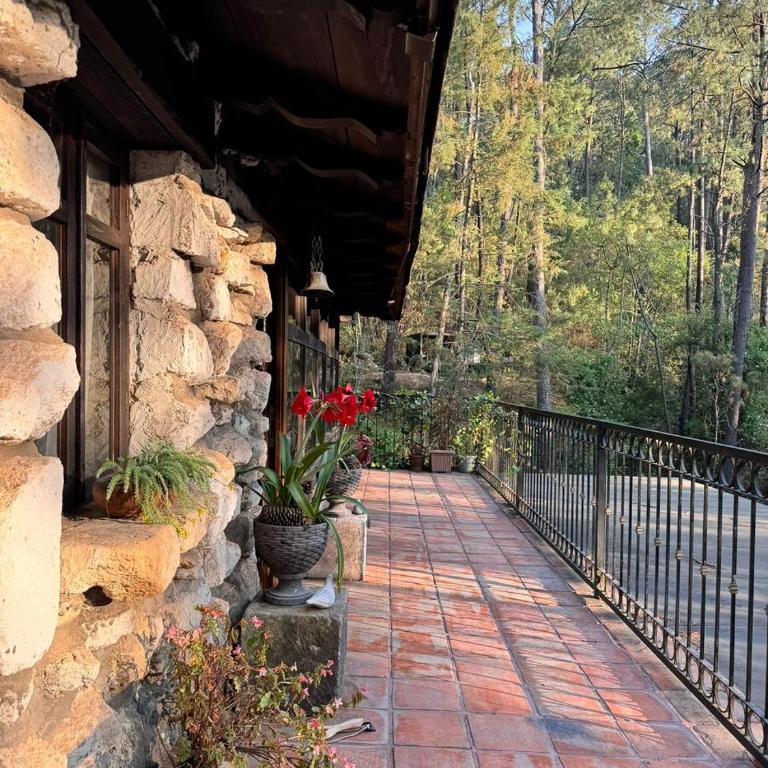 El verdadero lujo es la naturaleza - Chalet - 23