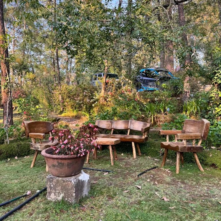 El verdadero lujo es la naturaleza - Chalet - 41
