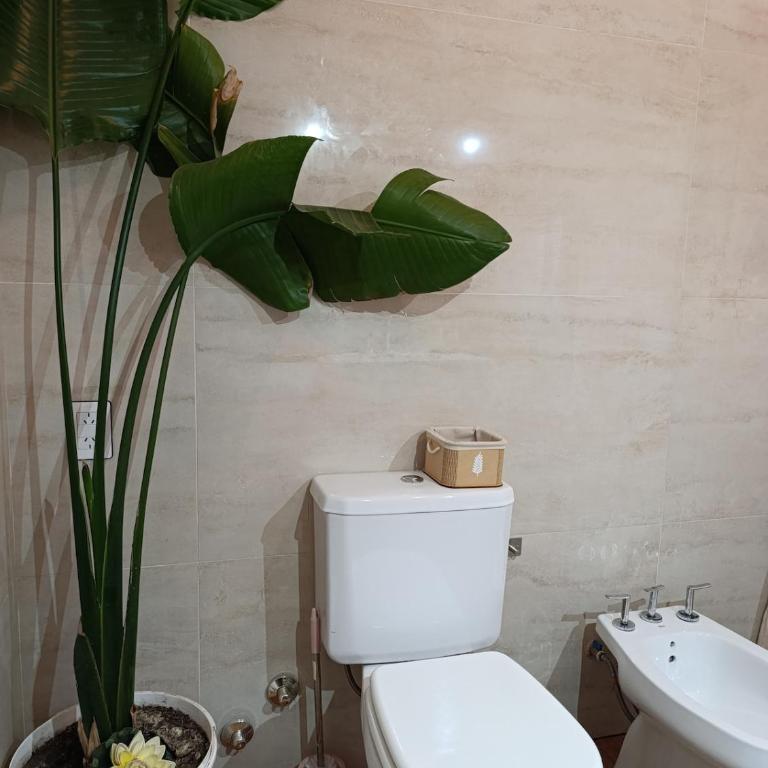 Chalet en Santa Rosa de Calamuchita - Two-Bedroom Chalet - 14