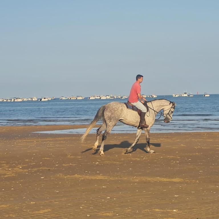 PISO 1ª LINEA SANLUCAR DE BARRAMEDA - Appartement 2 Chambres - 37