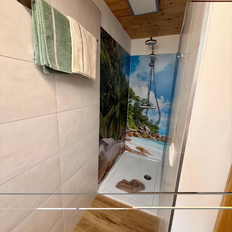 Schmölzer Appartements am Millstätter See Kärnten Card im Sommer inklusive - Apartamento de 2 dormitorios - 2