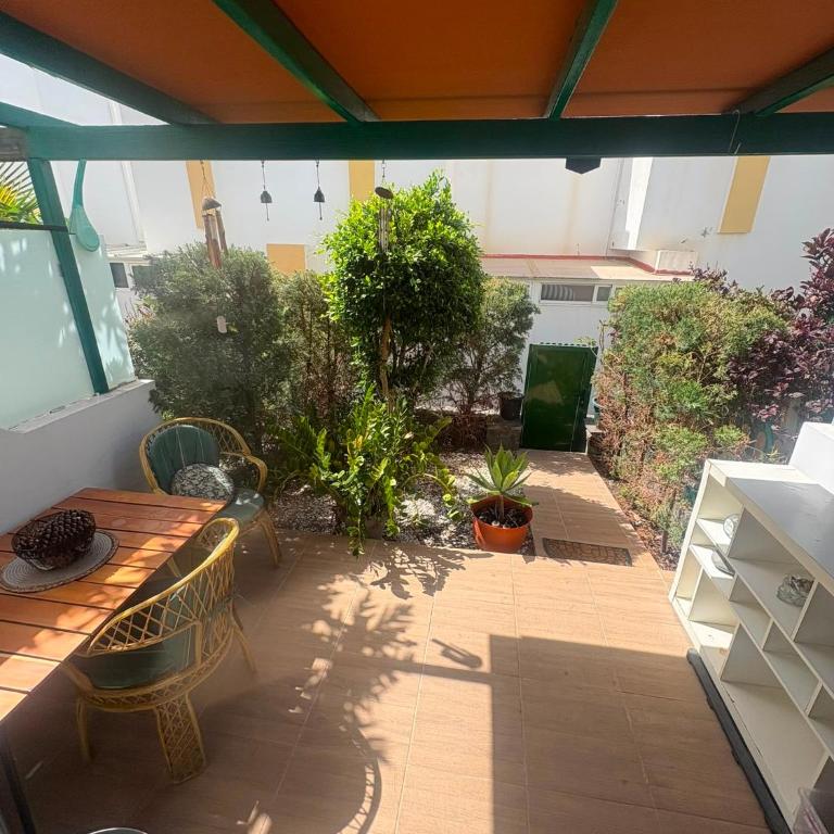 TROPICAL SUN AND palm - Maison 1 Chambre - 24