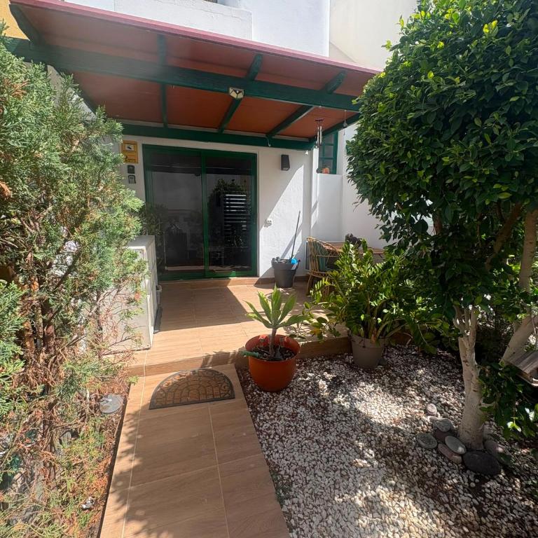 TROPICAL SUN AND palm - Maison 1 Chambre - 25