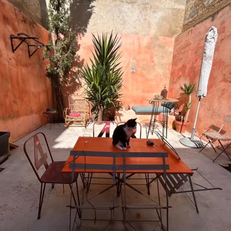Arlette la petite maison Arlésienne - Haus mit 1 Schlafzimmer - 1