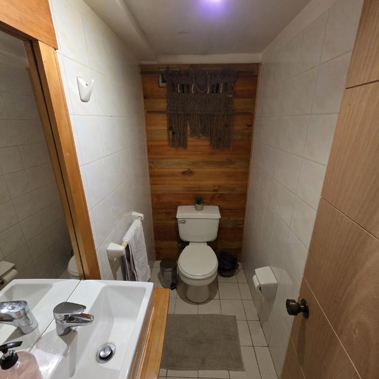 Bello y acogedor depto Céntrico - Estacionamiento Privado - Piscina - Two-Bedroom Apartment - 14