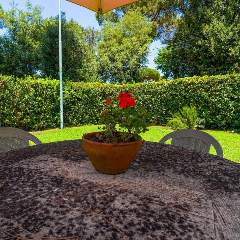The Nest - Il Nido - Apartment mit 1 Schlafzimmer - 21