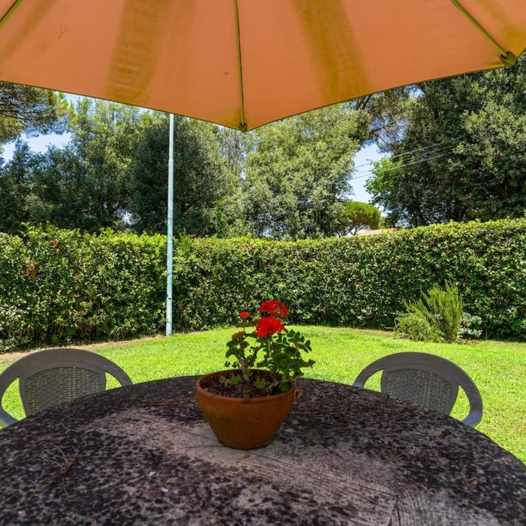 The Nest - Il Nido - Apartment mit 1 Schlafzimmer - 37