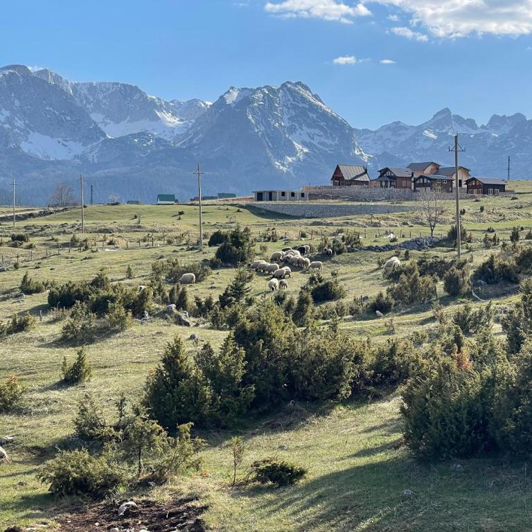 Horizons by PeaksView Chalets - One-Bedroom Chalet - 12