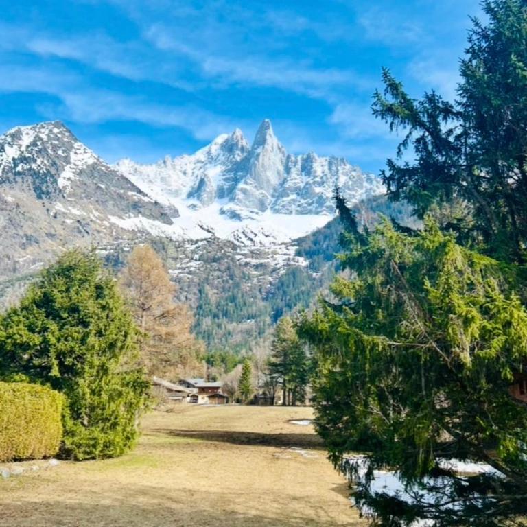 Cosy chalet with views of Mont Blanc - Chalet - 21