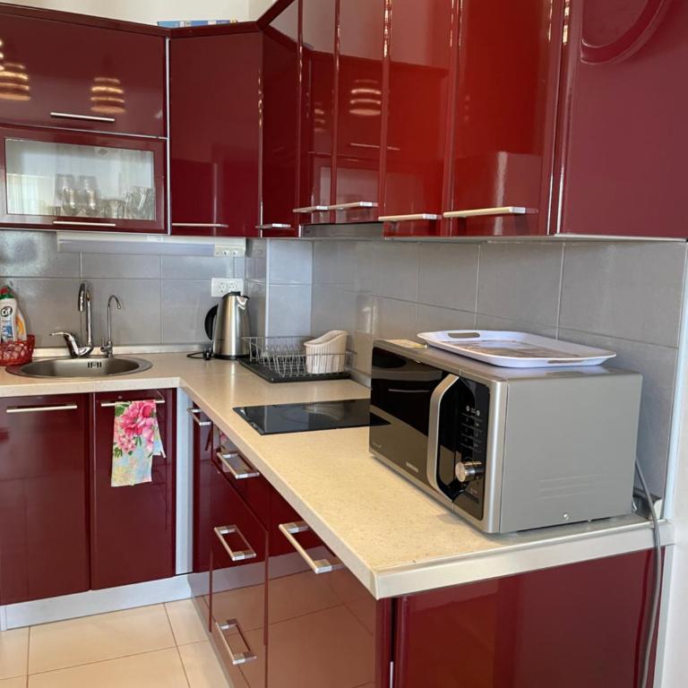 Maki Dom Budva - Apartman sa 1 Spavaćom Sobom - 15