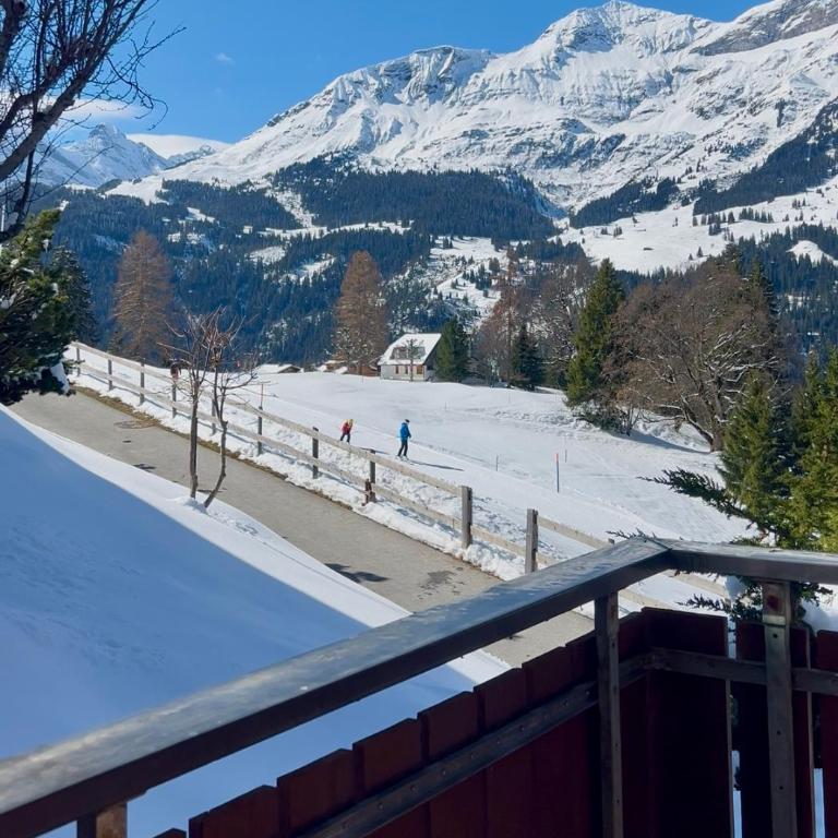 Chalet Steinbock Wengen - Premium Apartment mit 3 Schlafzimmern und Balkon - 5