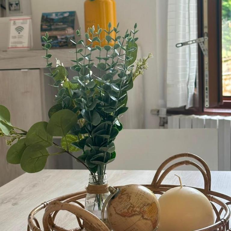 Quadrifoglio Bellagio - One-Bedroom Apartment - 24