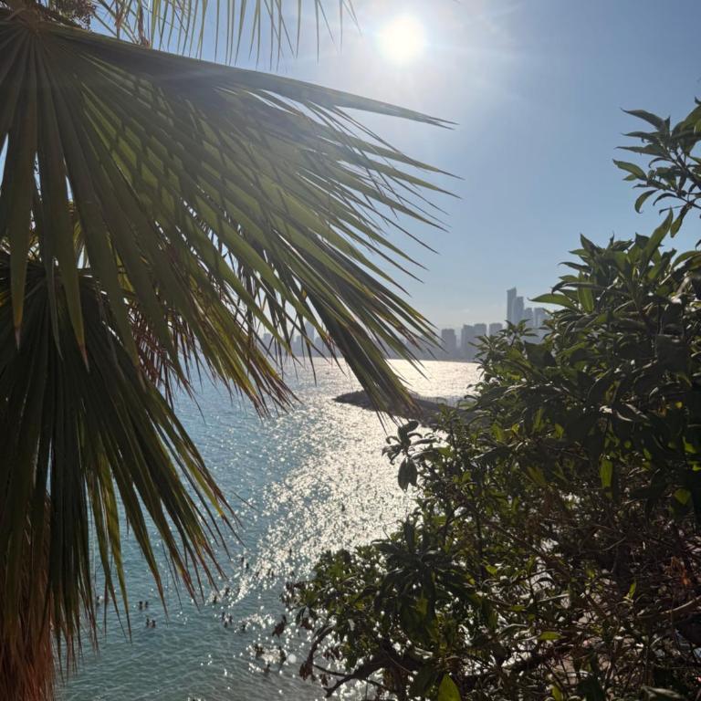 Perla del Mar - Alquiler de Temporada - Apartamento de 2 dormitorios - 28