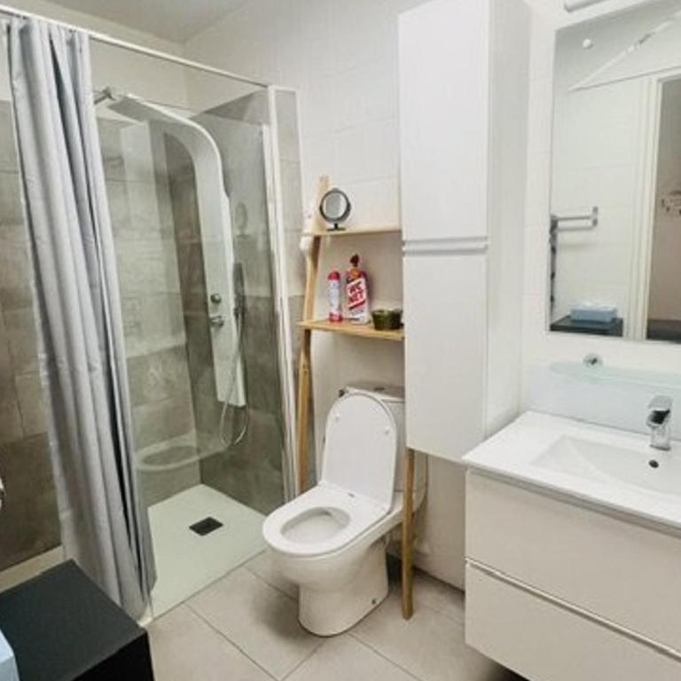 Appartement F2, animaux admis - 2 pers. - FR-1-703-232 - Appartement - 9