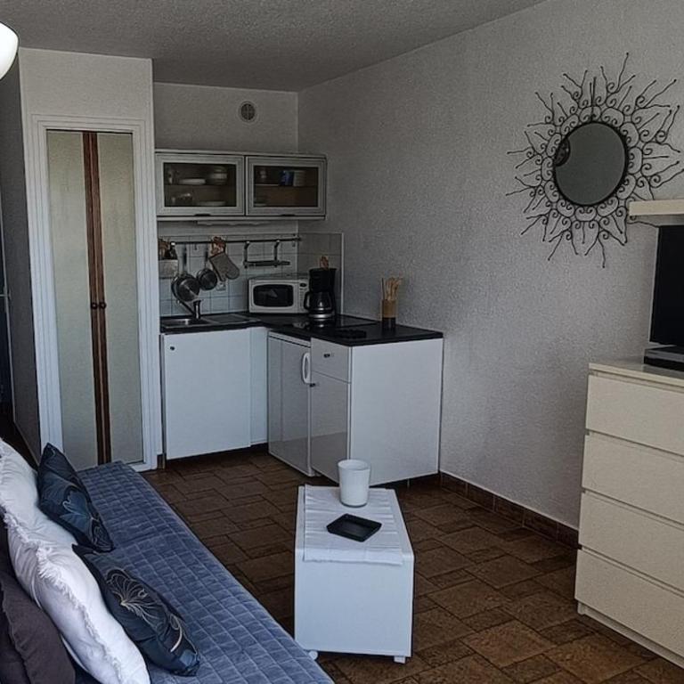 Studio sur la presqu'ile Plage Sud - Apartamento con vistas al jardín - 7