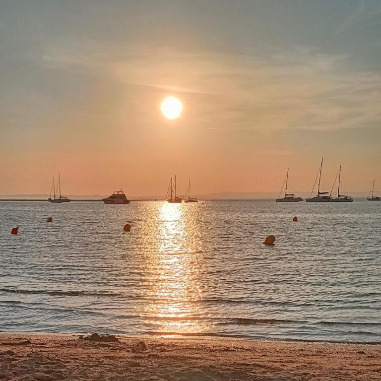 Studio sur la presqu'ile Plage Sud - Apartamento con vistas al jardín - 22