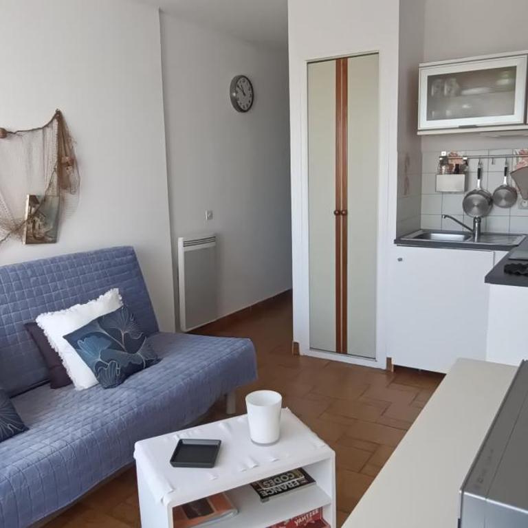 Studio sur la presqu'ile Plage Sud - Apartamento con vistas al jardín - 18
