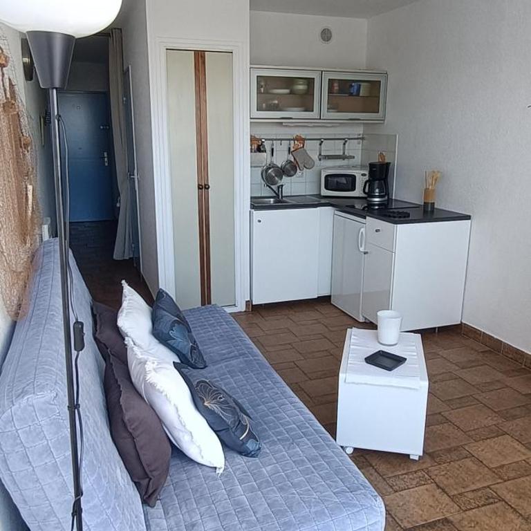 Studio sur la presqu'ile Plage Sud - Apartamento con vistas al jardín - 16
