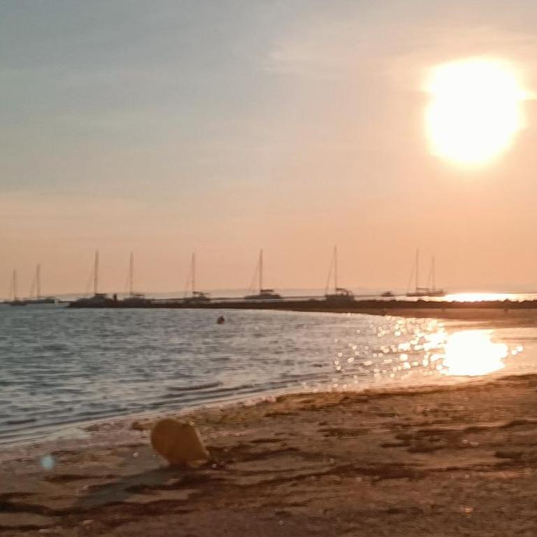 Studio sur la presqu'ile Plage Sud - Apartamento con vistas al jardín - 23