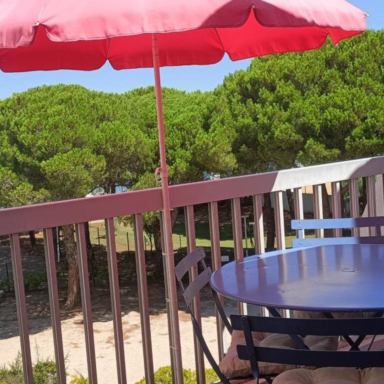 Studio sur la presqu'ile Plage Sud - Apartamento con vistas al jardín - 1