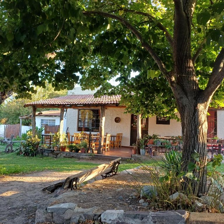 El Algarrobo - Apartamento de 1 dormitorio - 11