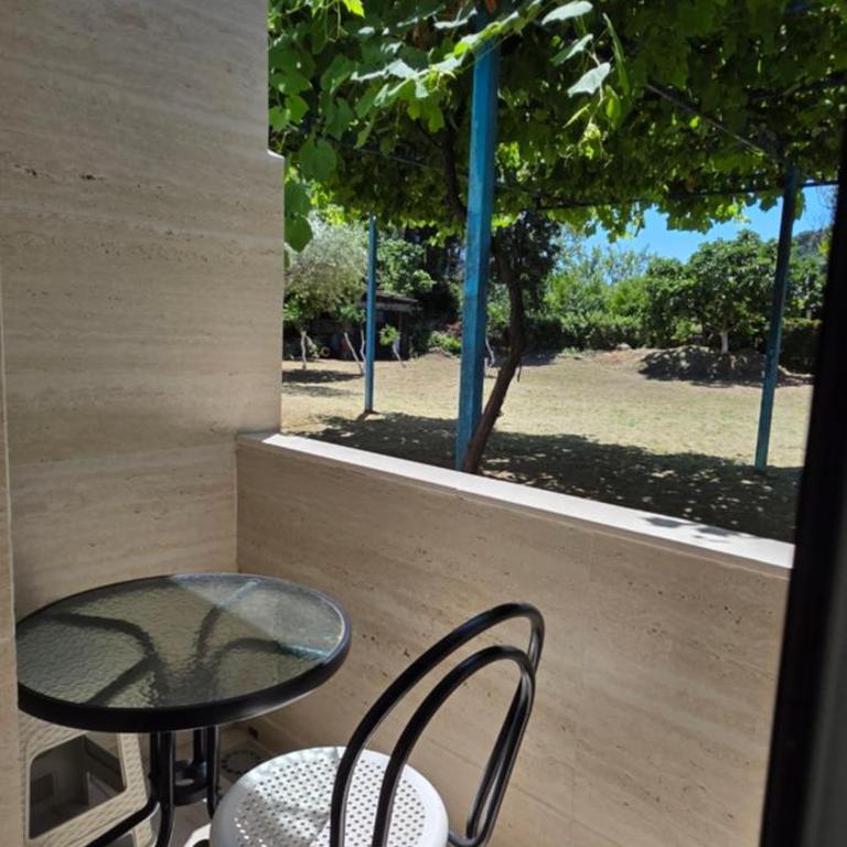 Elsa - Studio with Garden View - 2
