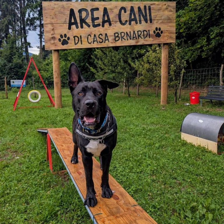 La SUITE delle Scuderie di Casa Bernardi con Vasca Freestanding, PetFiendly con Area Cani - Ampia Camera Matrimoniale - 22