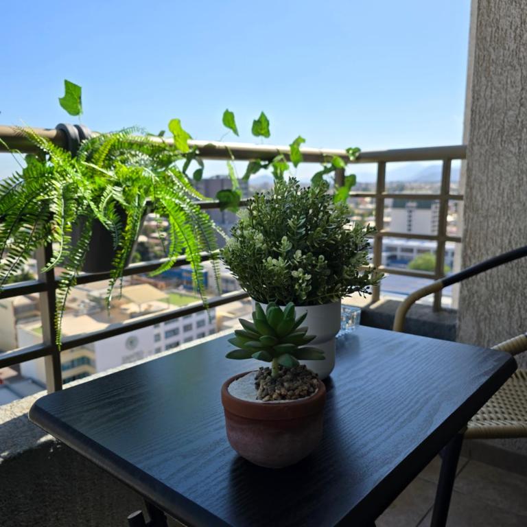 Providencia lindo departamento con excelente ubicacion - Two-Bedroom Apartment - 3